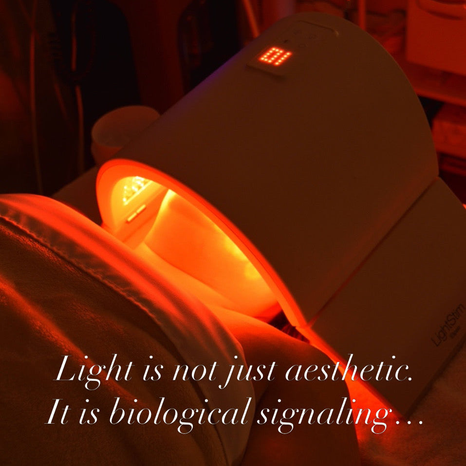 Red Light Therapy: The Science-Backed Longevity Tool for Skin, Recovery, and Cellular Health