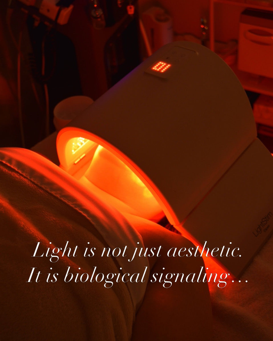 Red Light Therapy: The Science-Backed Longevity Tool for Skin, Recovery, and Cellular Health