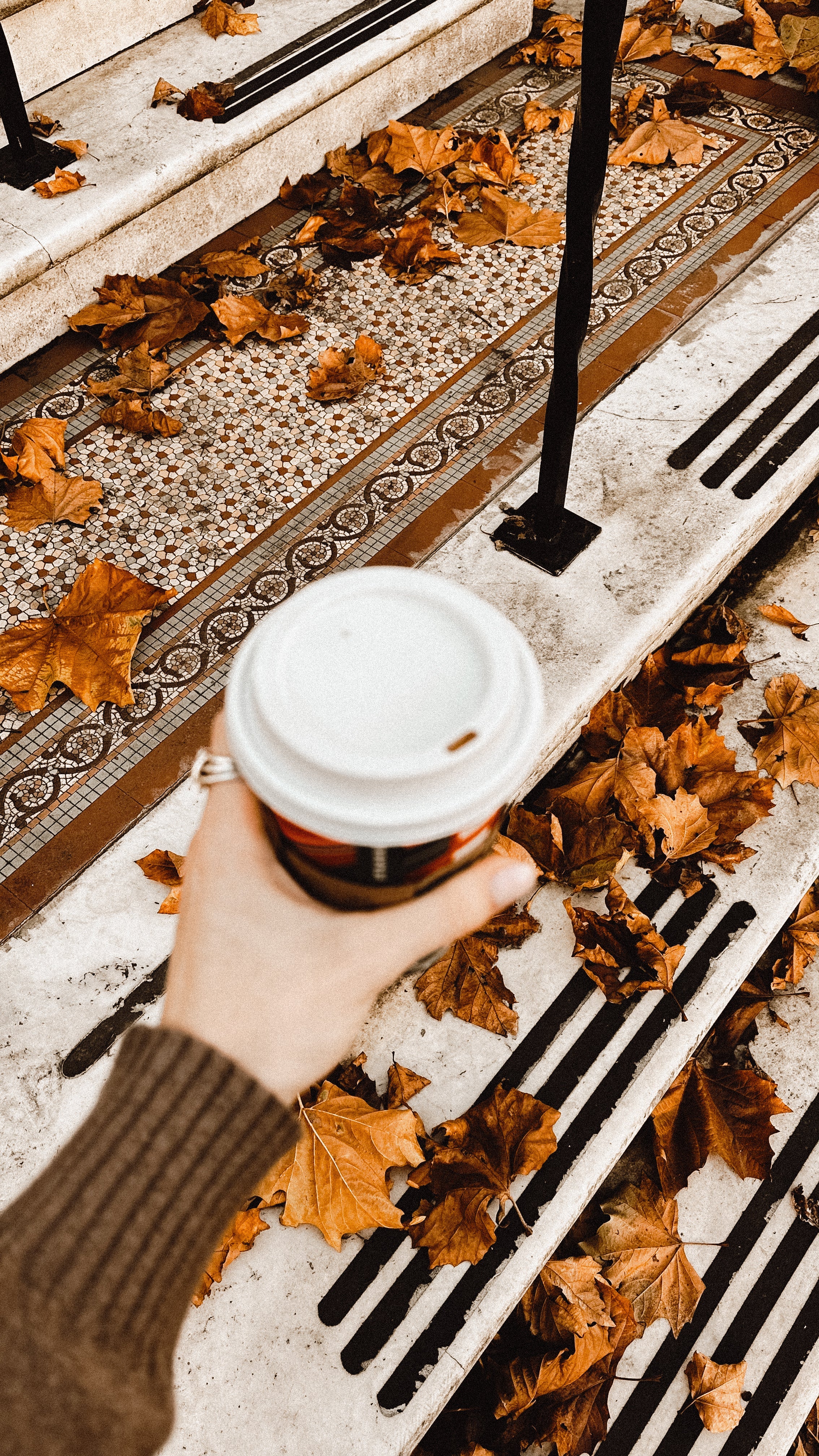 September Is the Month to Reset, Refresh, and Rejuvenate